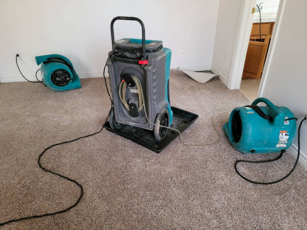 Best Mold removal after water damage  in Eagle Point, OR