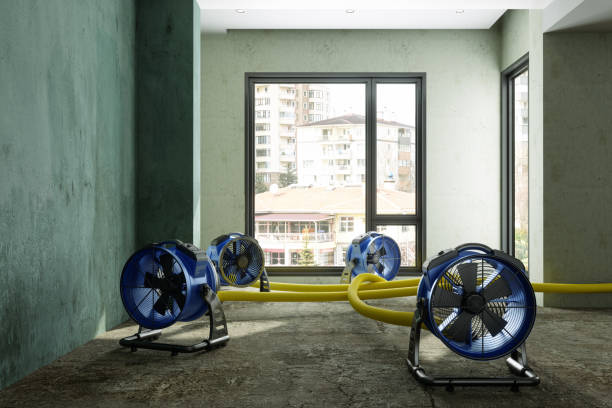 Best Basement water damage restoration  in Eagle Point, OR