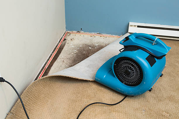 Best Water damage restoration specialists  in Eagle Point, OR